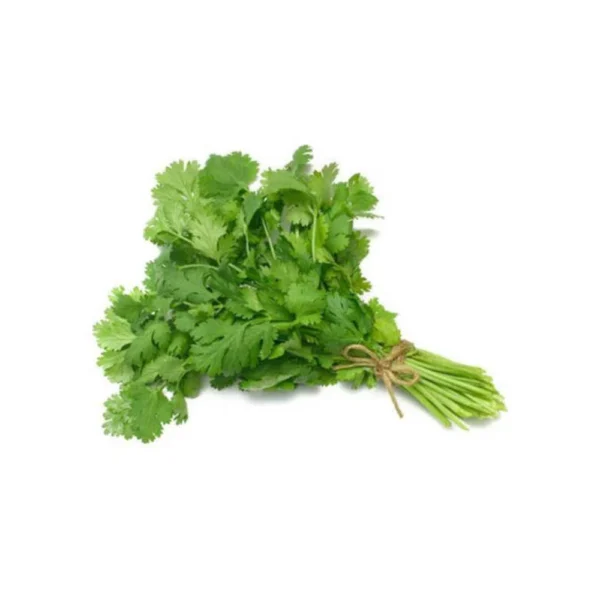 Coriander 1-bunch