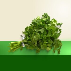 Coriander 1-bunch
