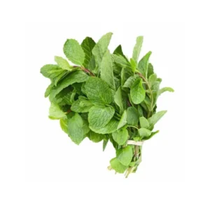 Mint
